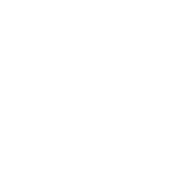 SPIM, Skin-Meeting