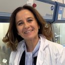 Dr Isabelle ADER, University of Toulouse, CNRS UMR 5070, INSERM U1301